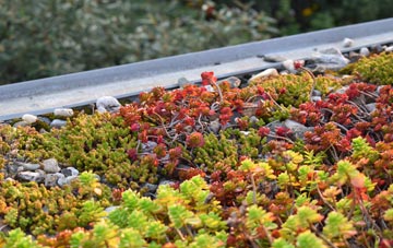 the cost of Theddlethorpe St Helen green roof installation