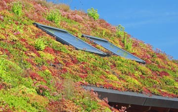 Theddlethorpe St Helen living roof systems