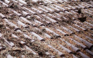 Theddlethorpe St Helen roof cleaning companies